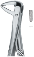 Extracting Forcep English Pattern